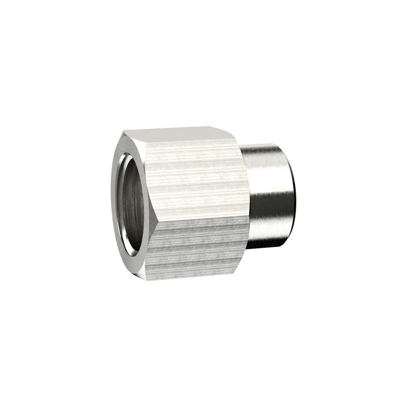 esska-1541543
