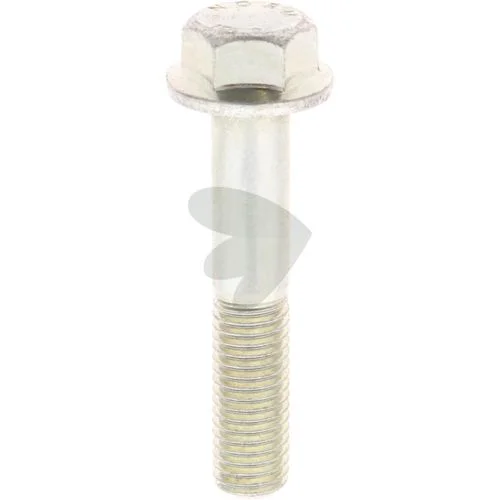 sagro1-1562003