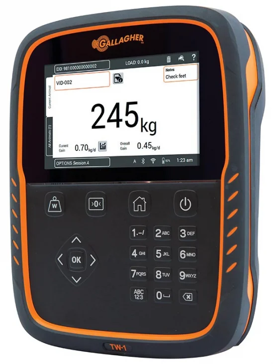 sagro1-1605798