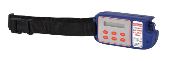 sagro1-1607637