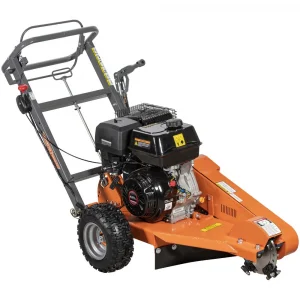 sagro2-1606267
