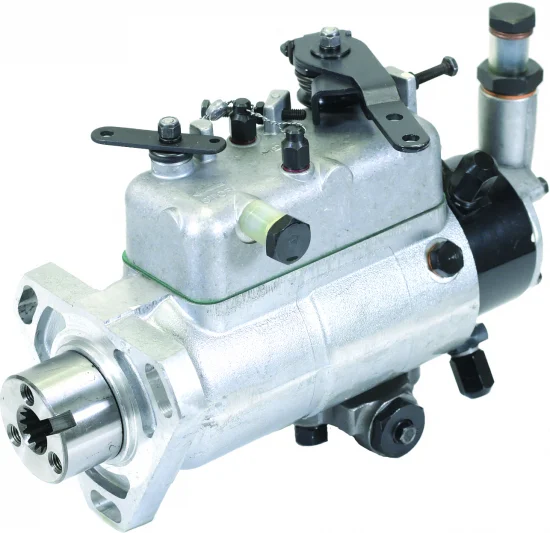 sagro2-1753403