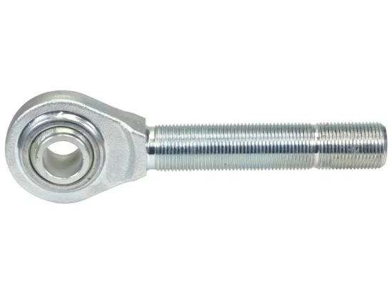 sagro2-1755541